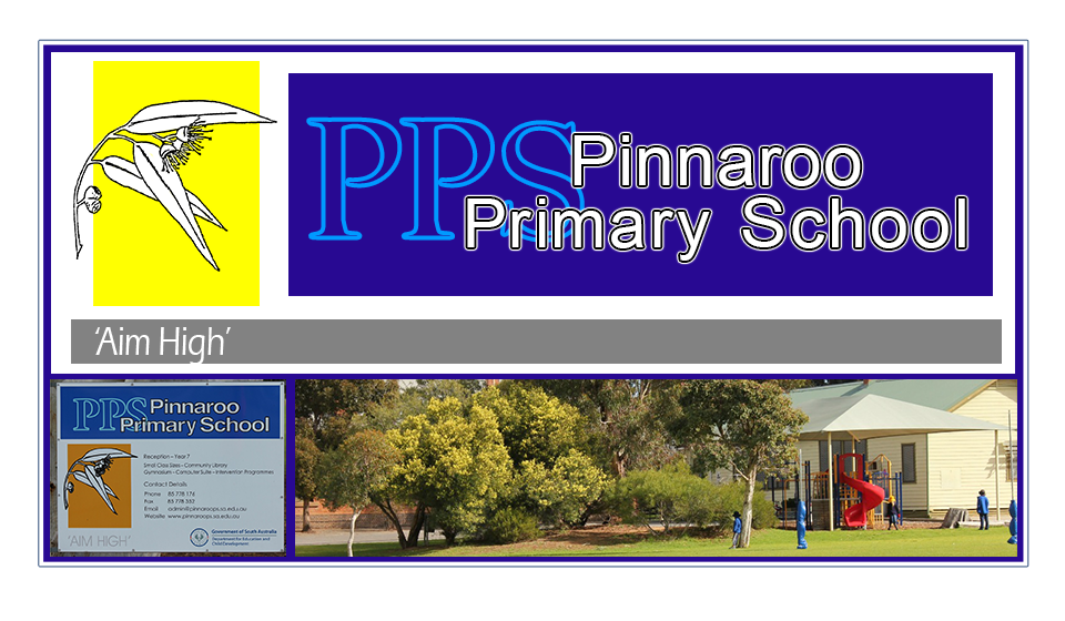 Pinnaroo Primary School